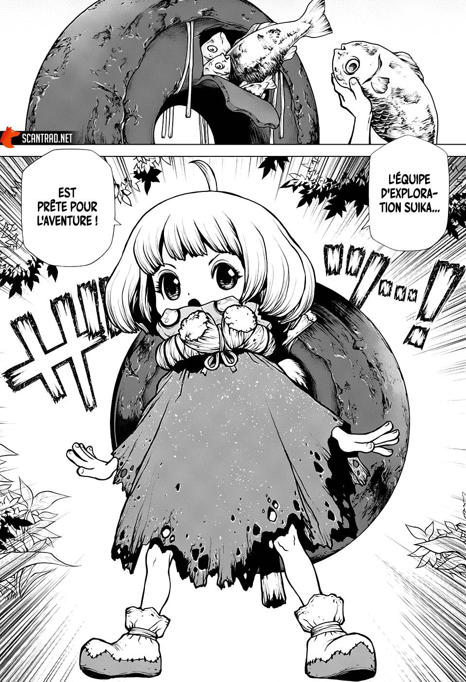 Read Dr Stone FR Manga Online