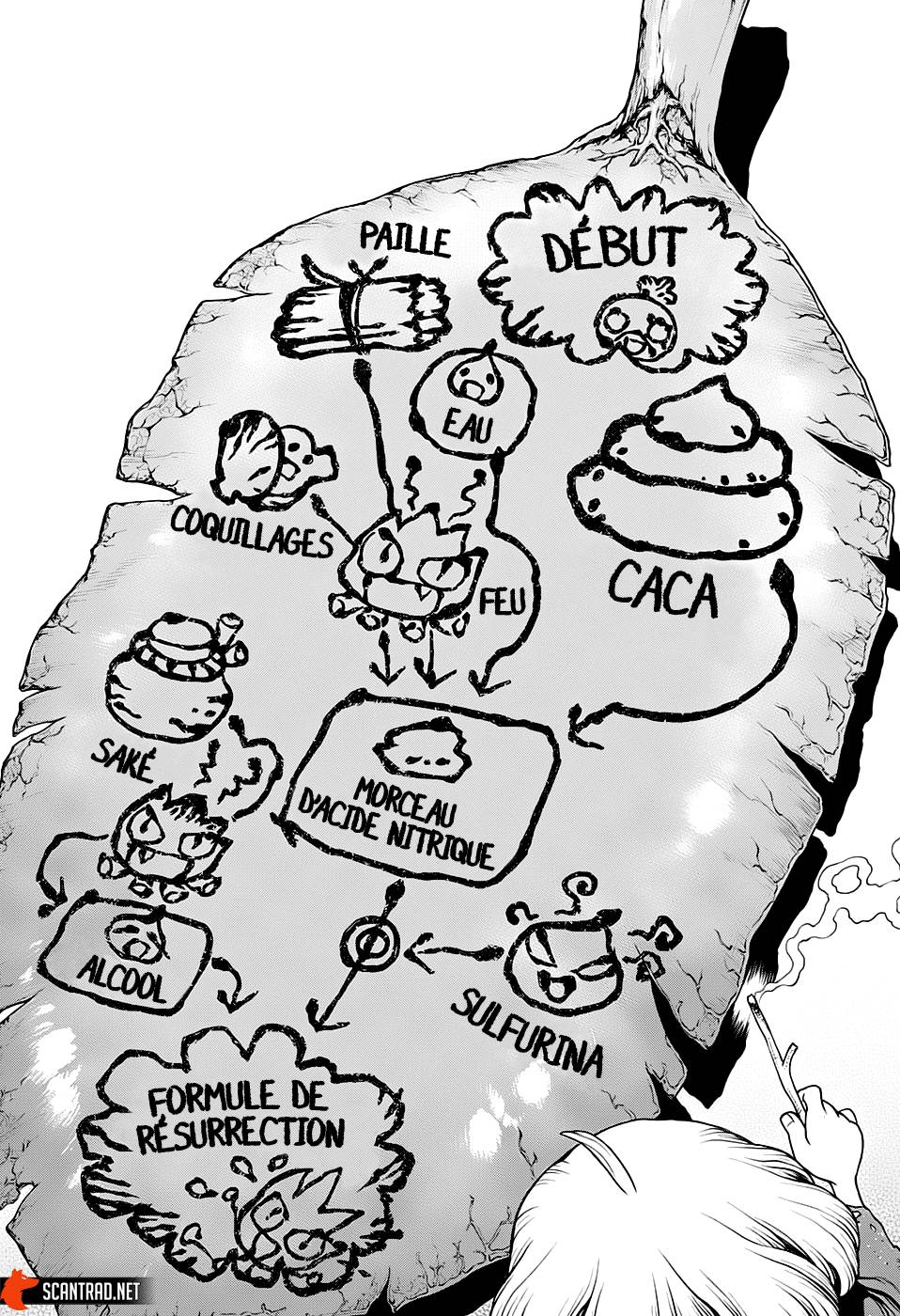 Read Dr Stone FR Manga Online