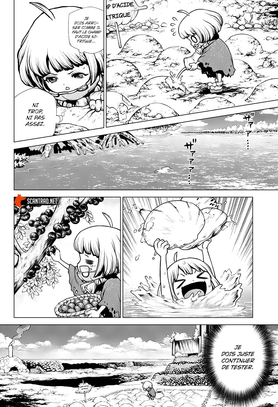 Read Dr Stone FR Manga Online