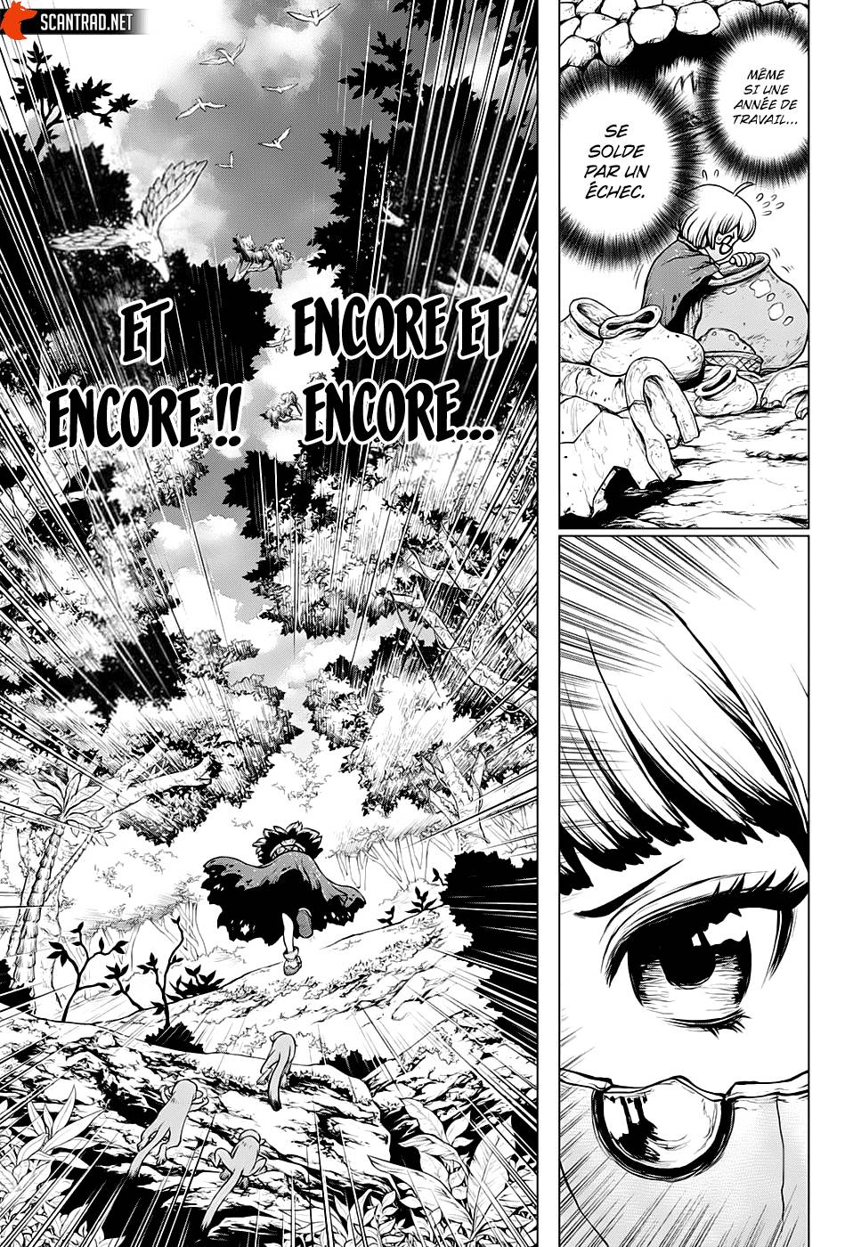 Read Dr Stone FR Manga Online
