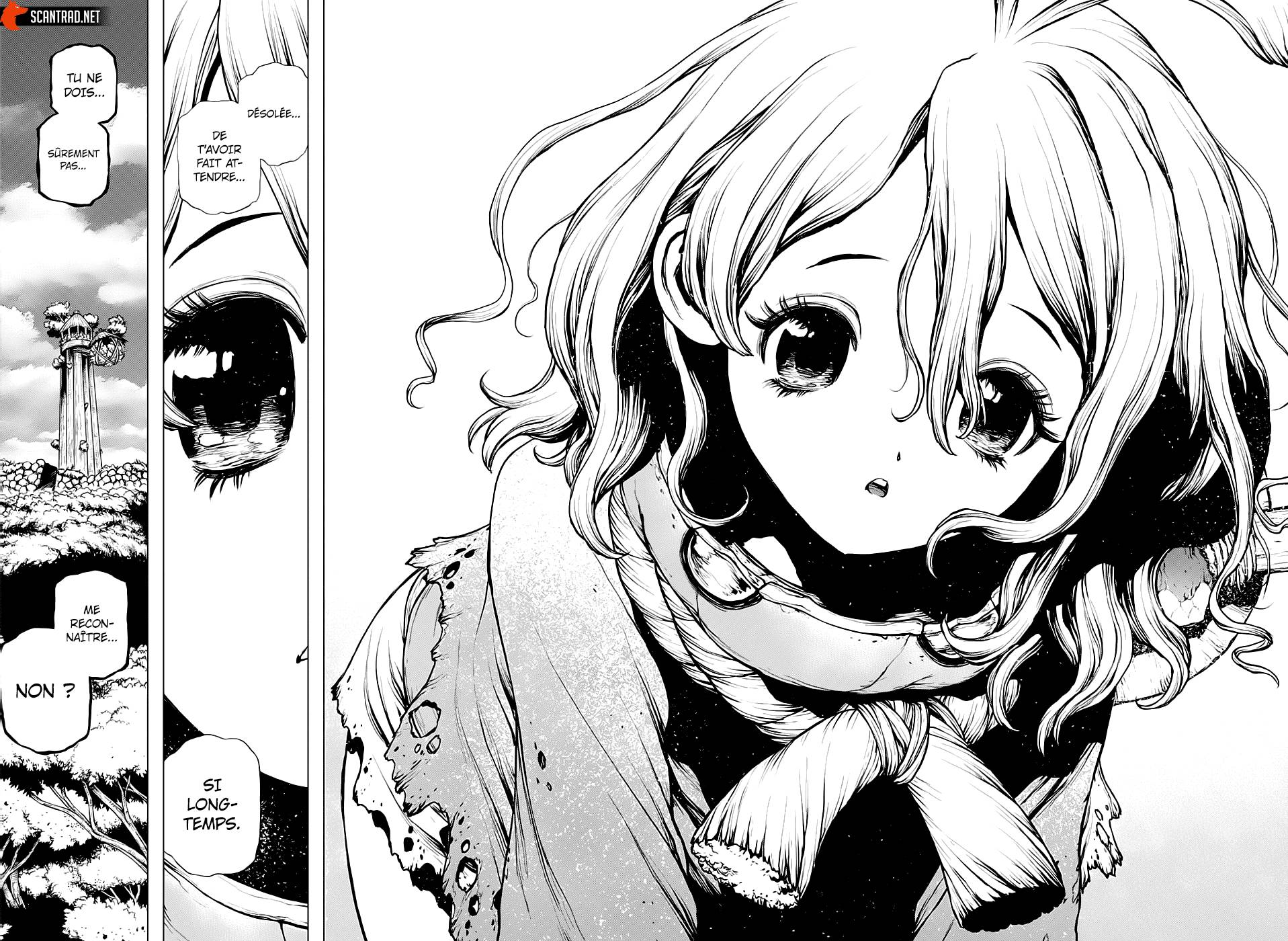 Read Dr Stone FR Manga Online