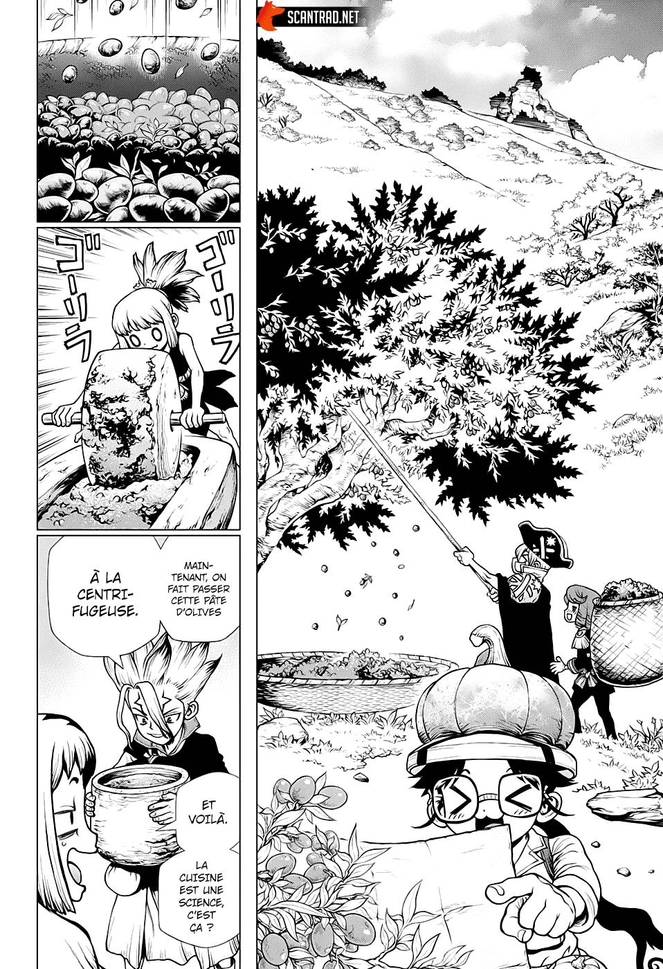 Read Dr Stone FR Manga Online