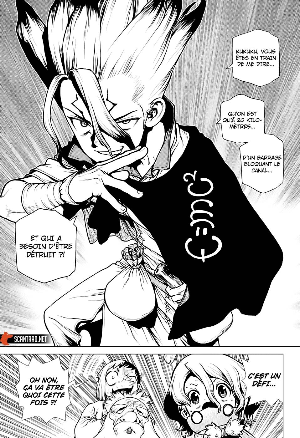 Read Dr Stone FR Manga Online