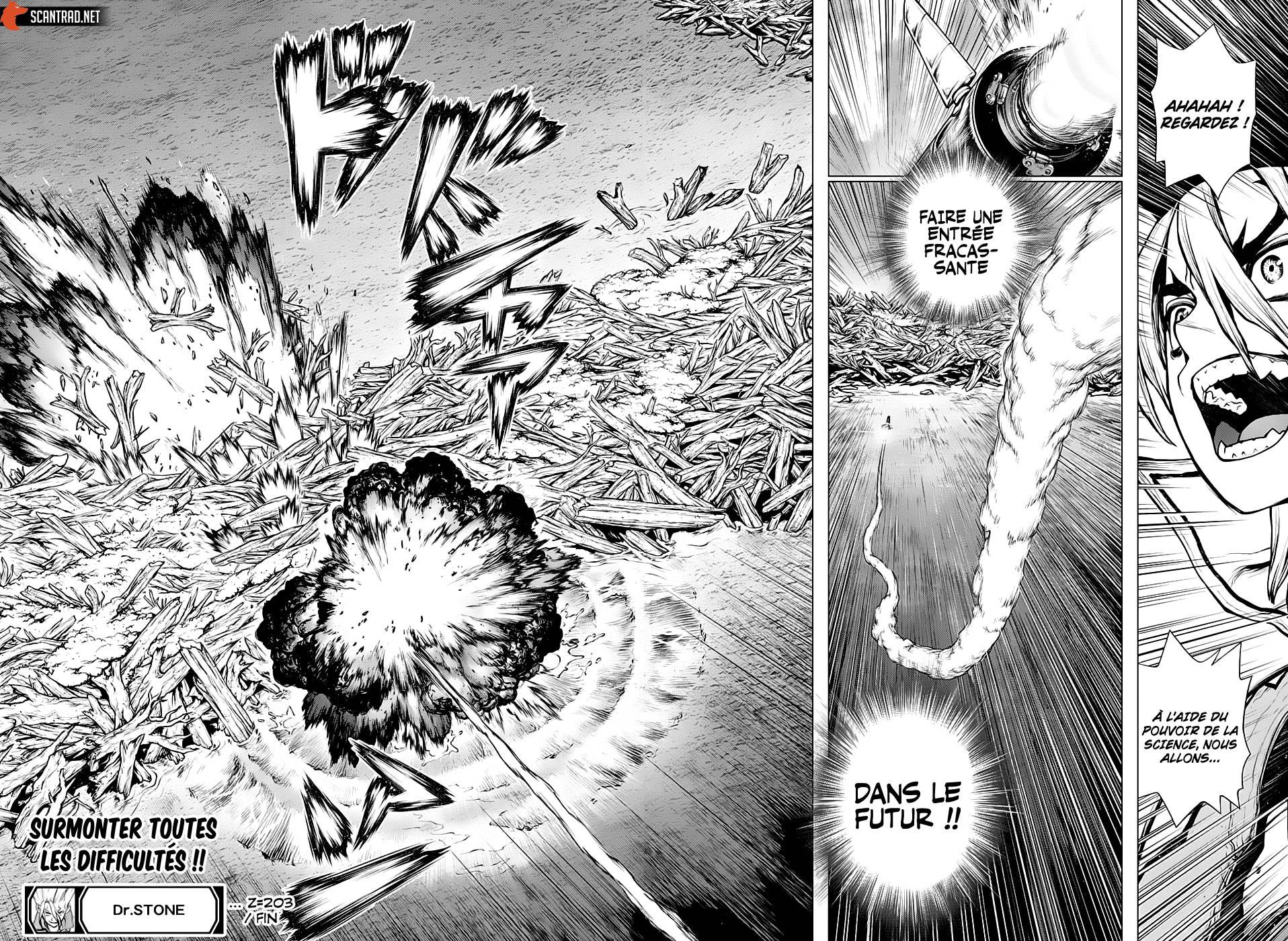 Read Dr Stone FR Manga Online