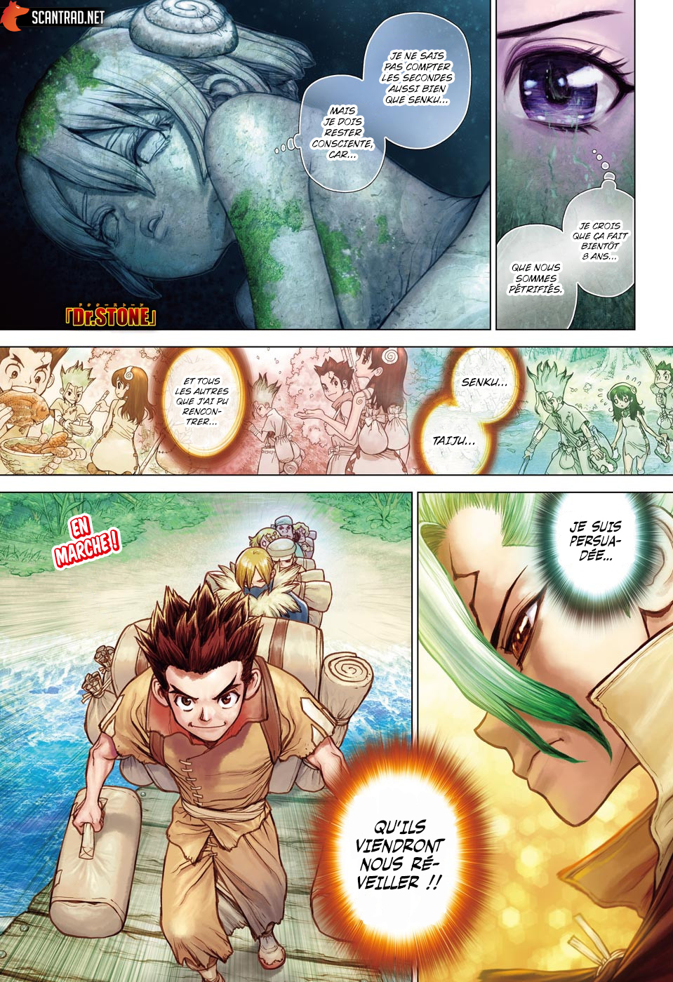 Read Dr Stone FR Manga Online
