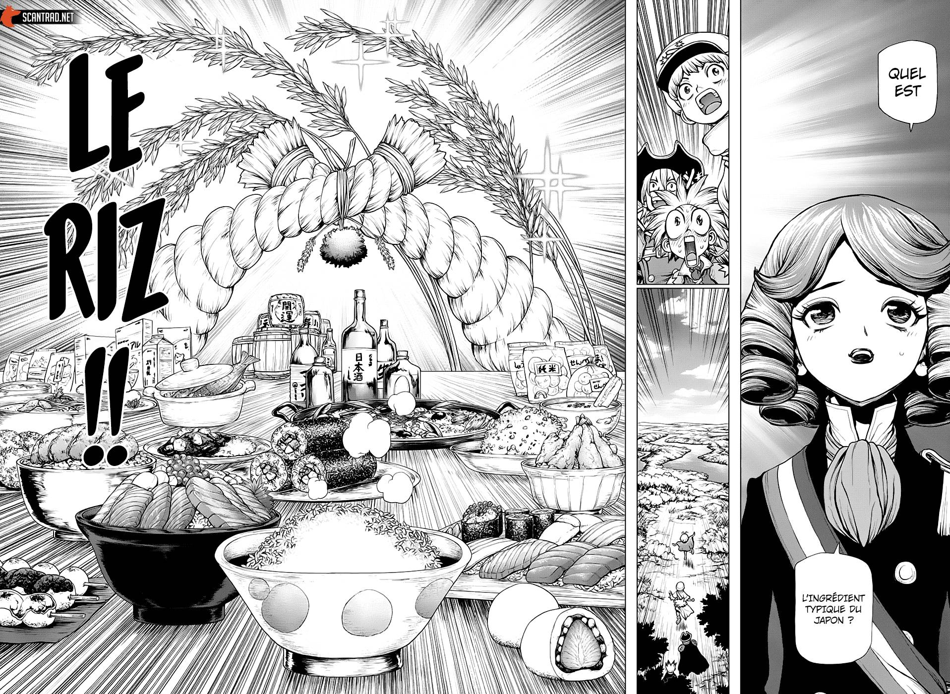 Read Dr Stone FR Manga Online