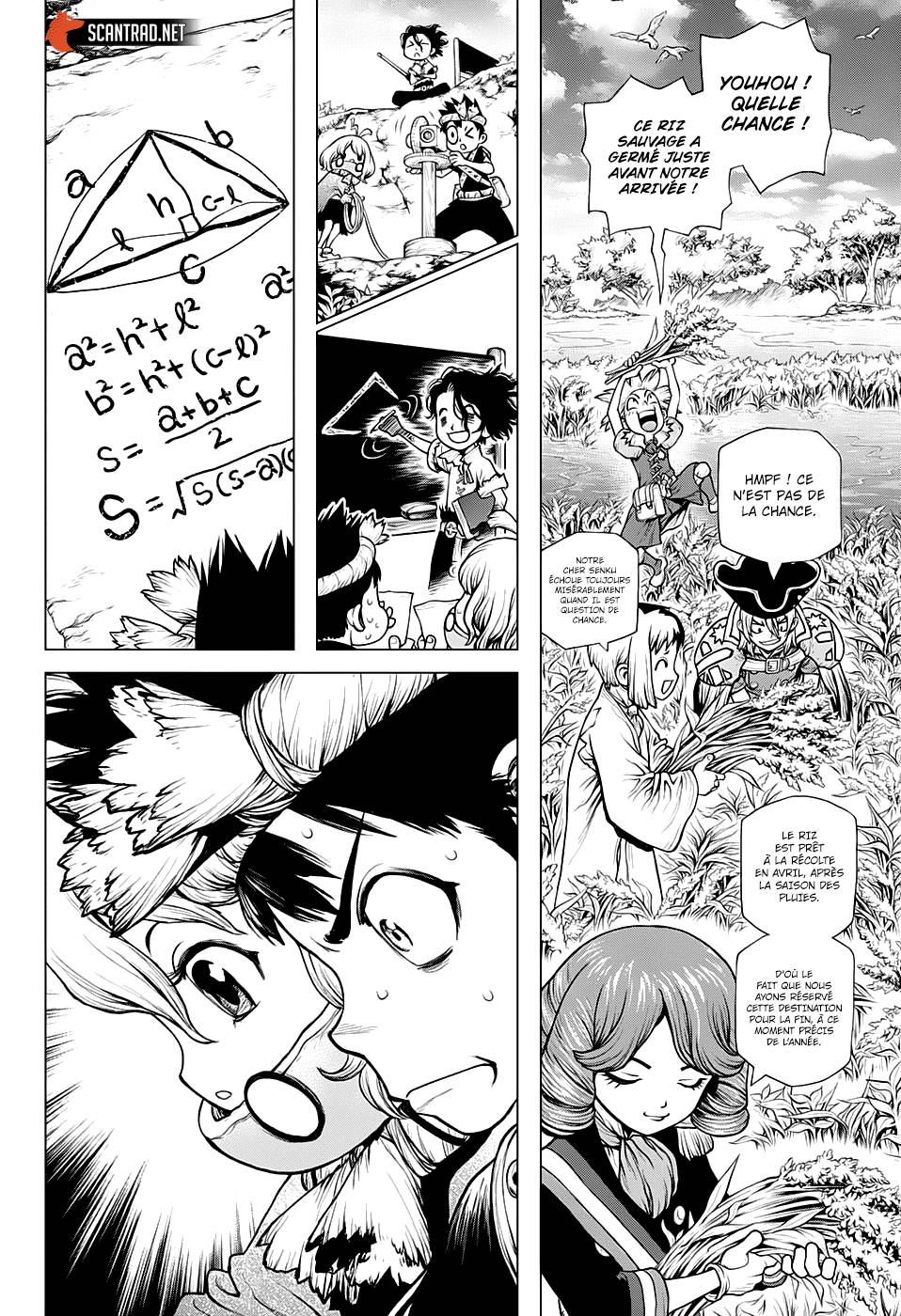 Read Dr Stone FR Manga Online