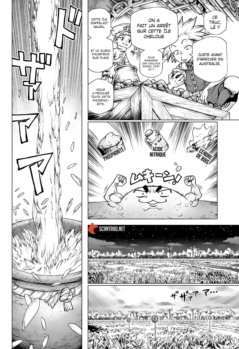 Read Dr Stone FR Manga Online