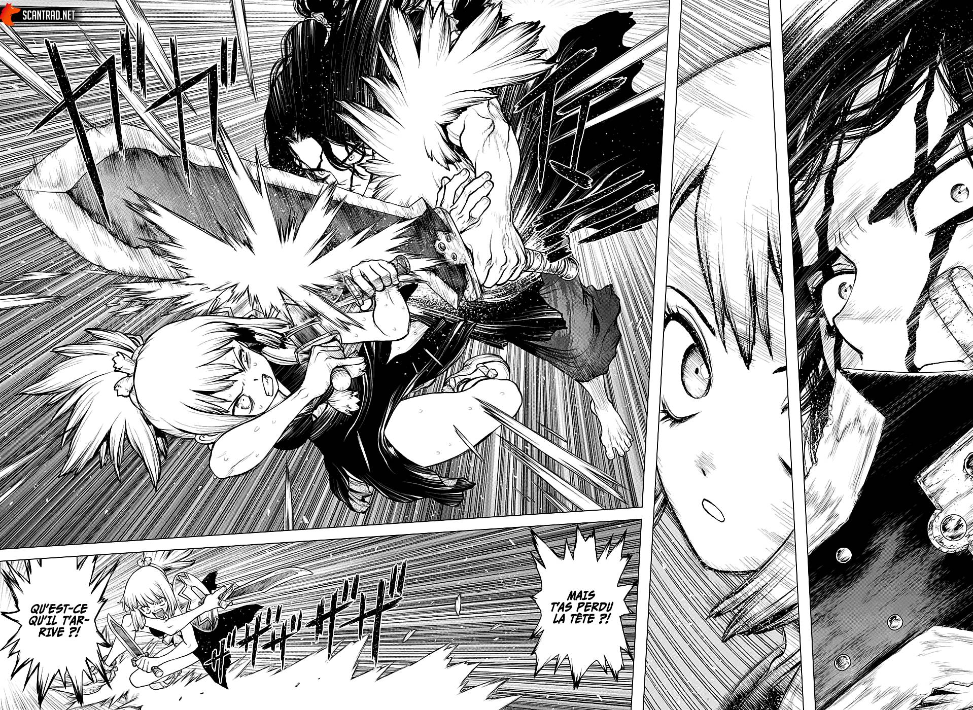 Read Dr Stone FR Manga Online