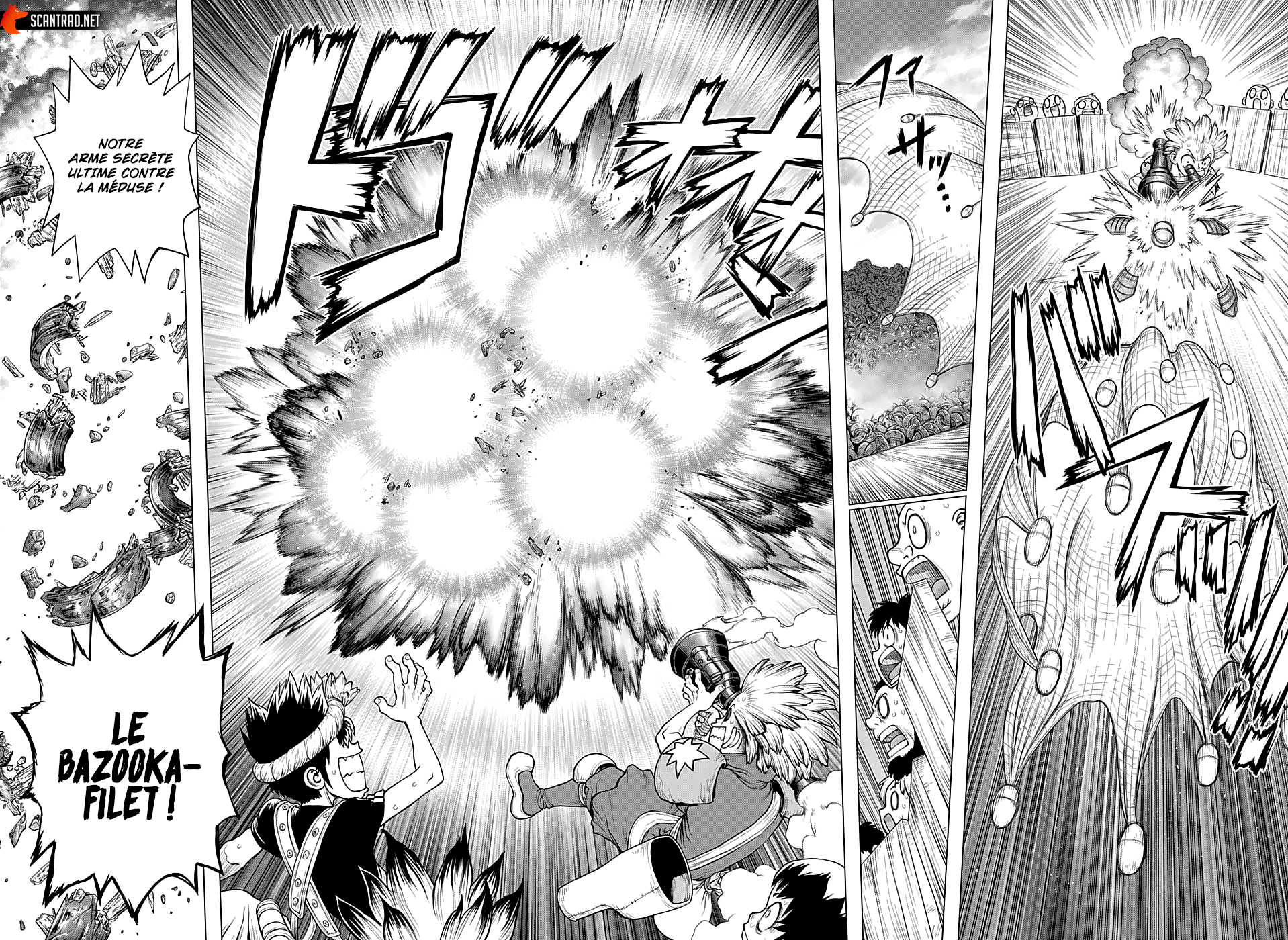 Read Dr Stone FR Manga Online