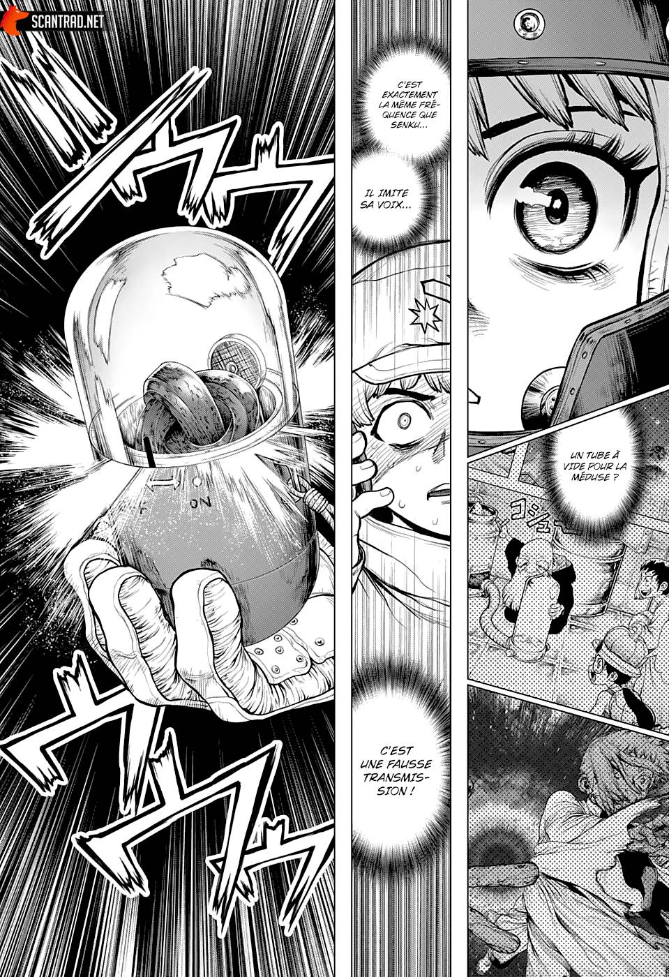 Read Dr Stone FR Manga Online
