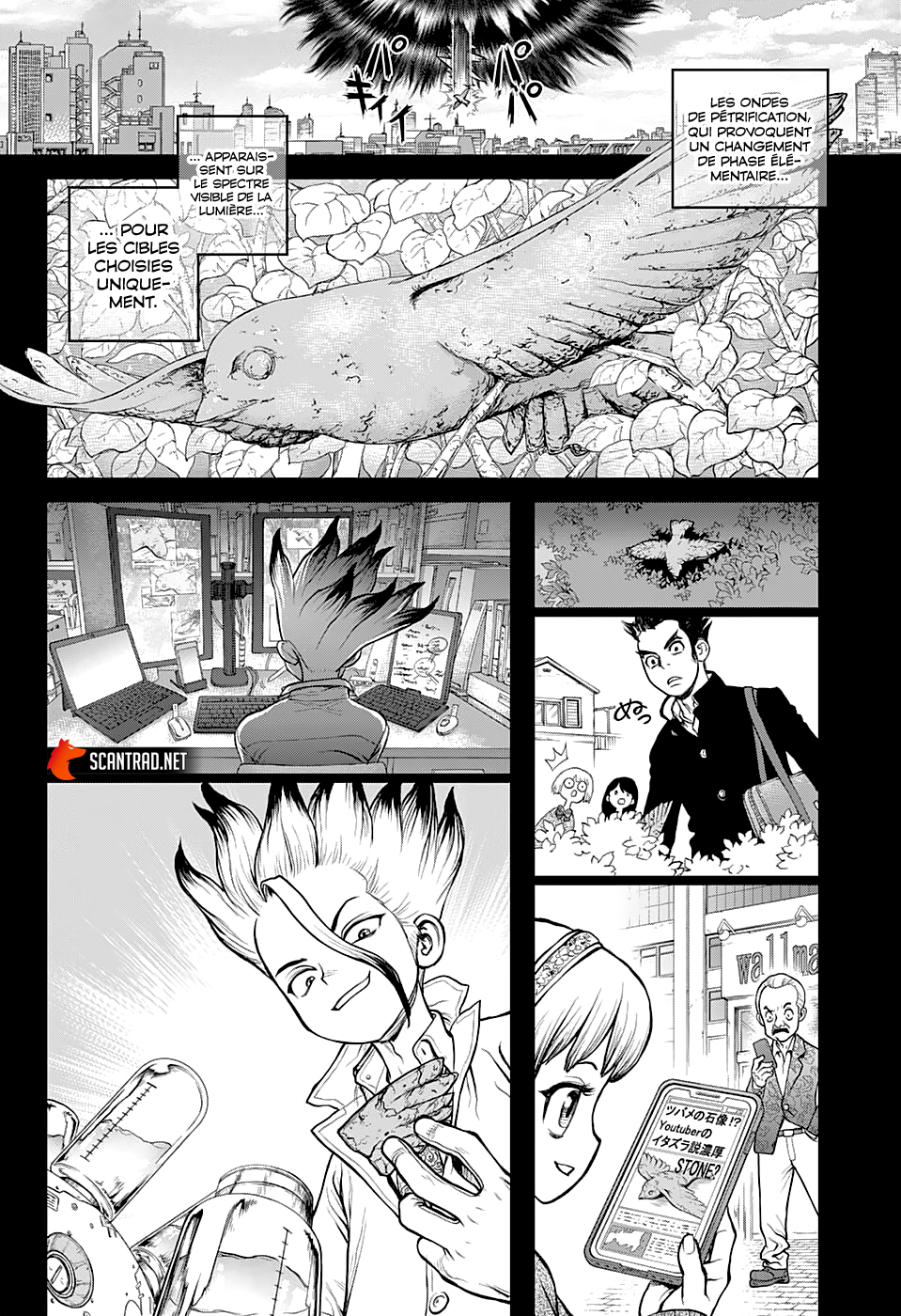 Read Dr Stone FR Manga Online