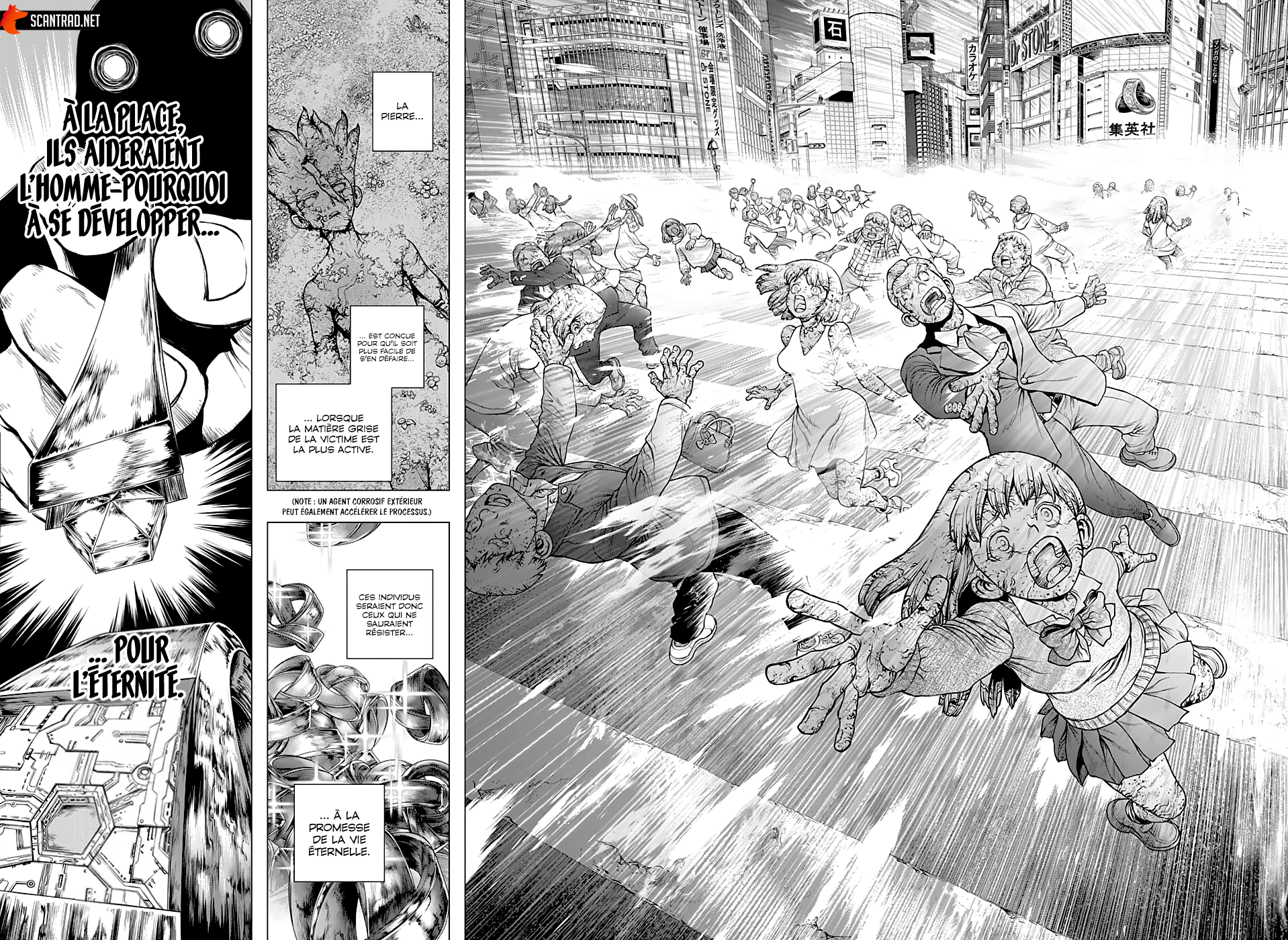 Read Dr Stone FR Manga Online