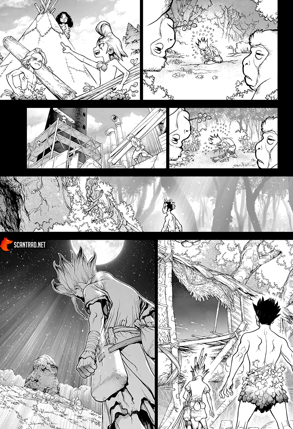 Read Dr Stone FR Manga Online