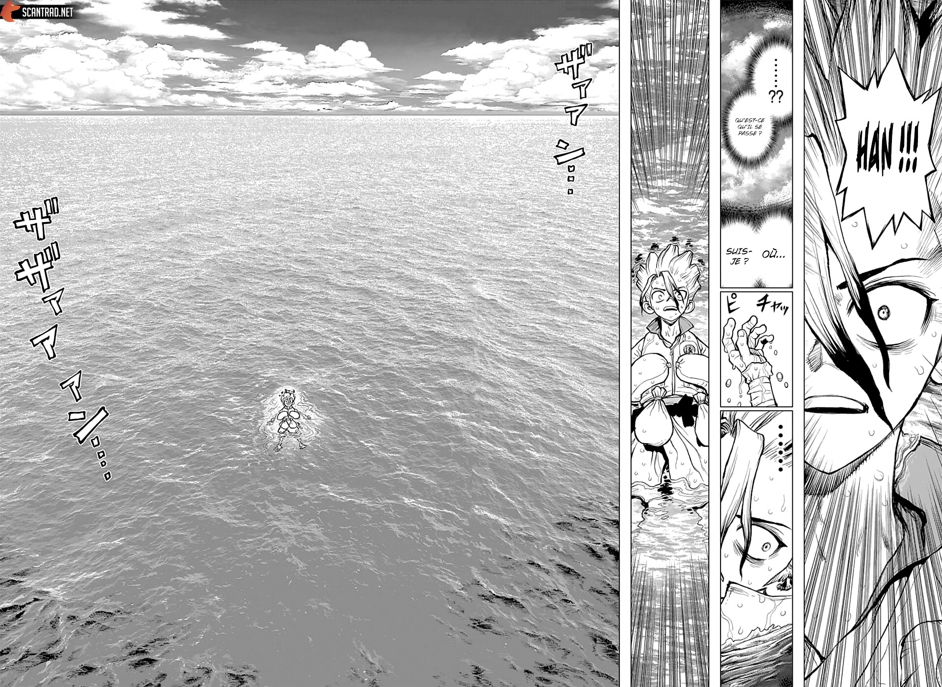 Read Dr Stone FR Manga Online