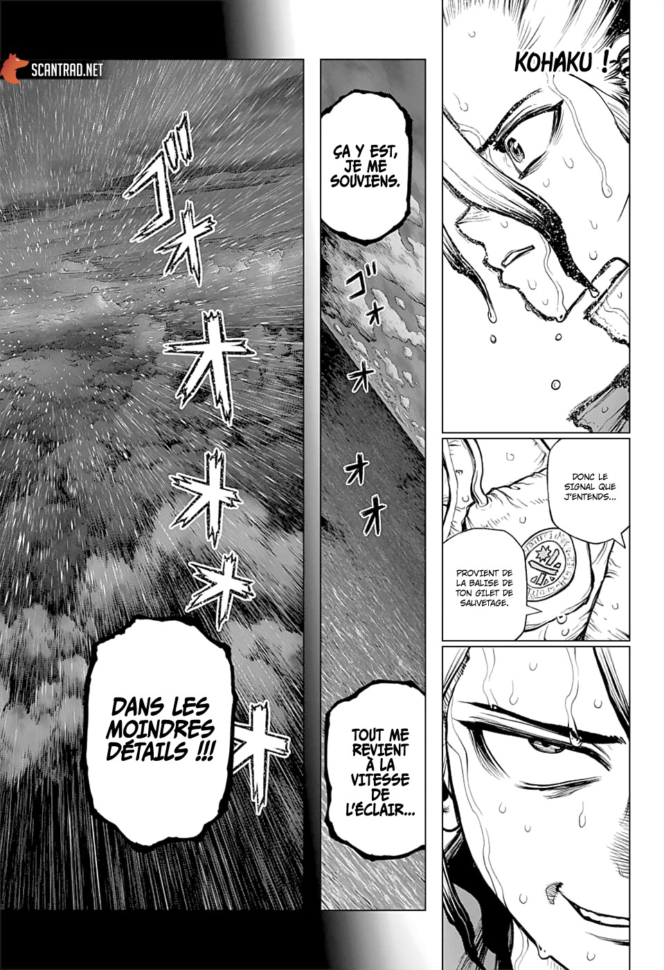 Read Dr Stone FR Manga Online