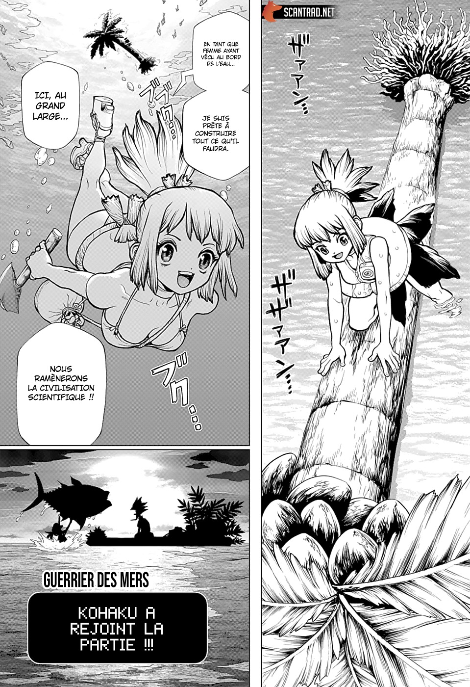 Read Dr Stone FR Manga Online