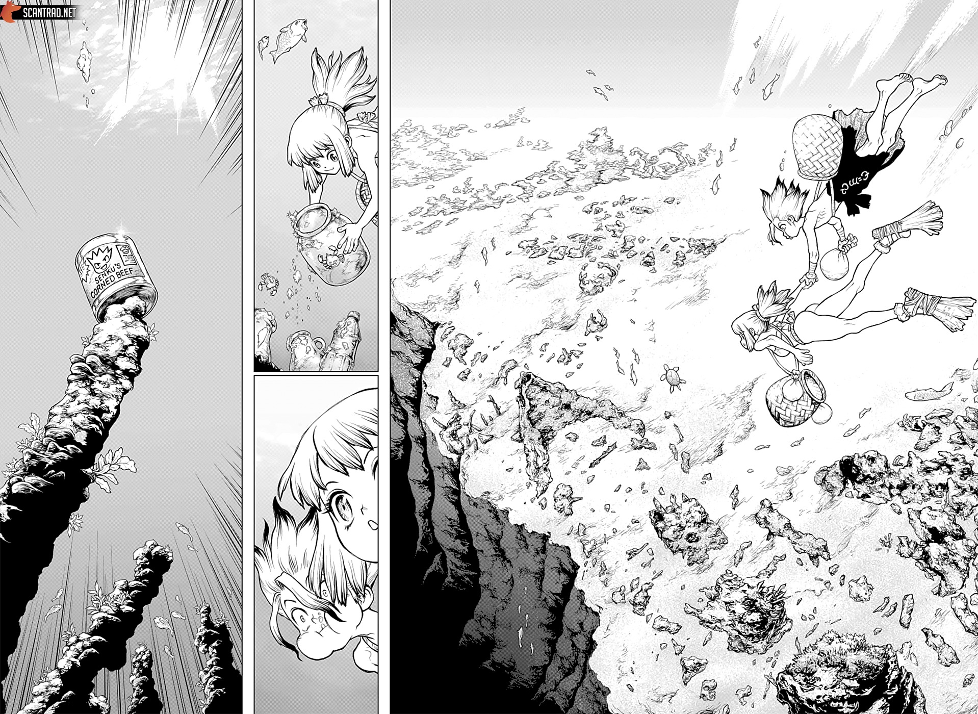Read Dr Stone FR Manga Online