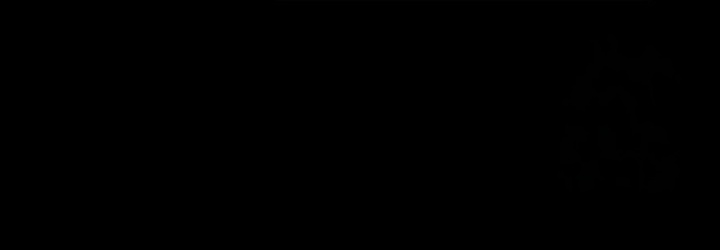 Read Heavenly Inquisition Sword FR Manga Online