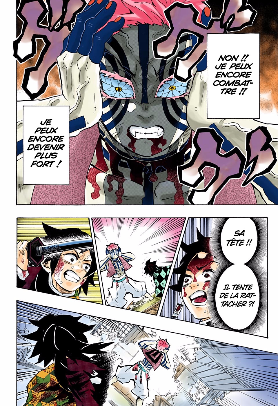Read Kimetsu No Yaiba FR Manga Online