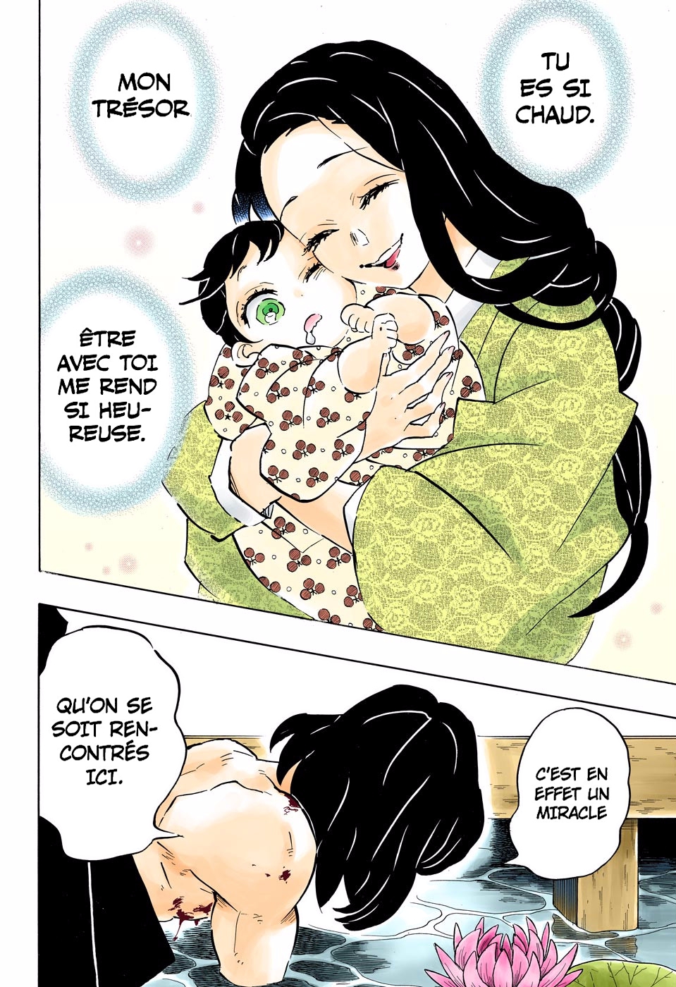 Read Kimetsu No Yaiba FR Manga Online