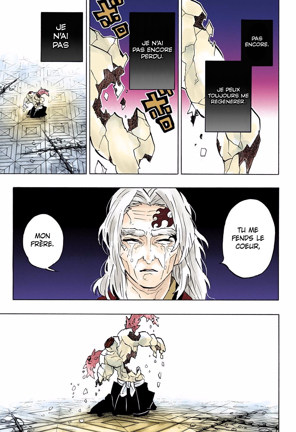 Read Kimetsu No Yaiba FR Manga Online