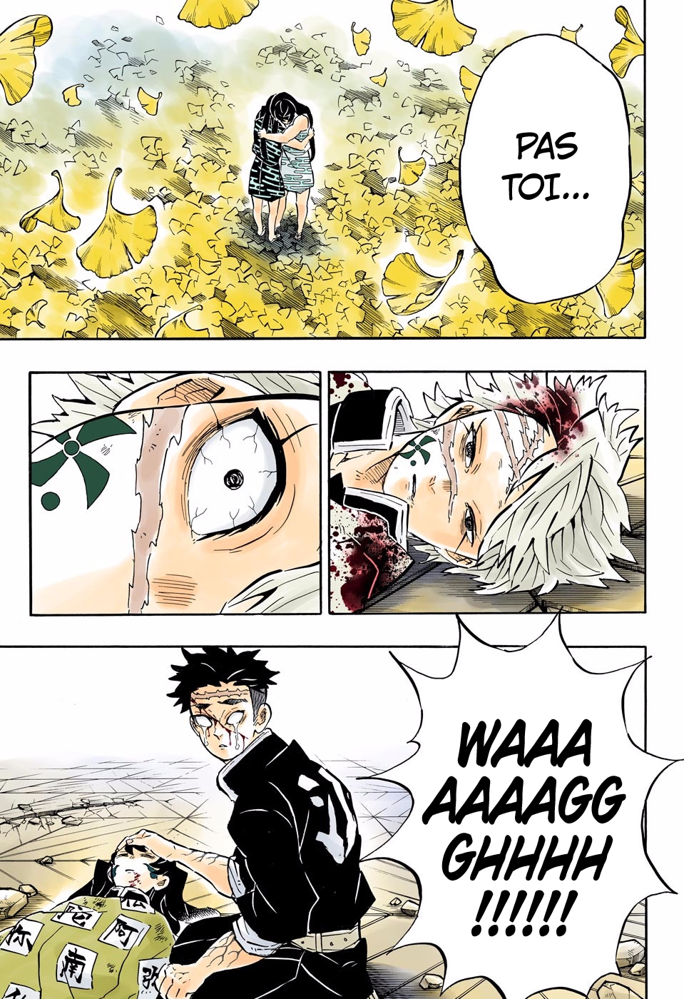 Read Kimetsu No Yaiba FR Manga Online