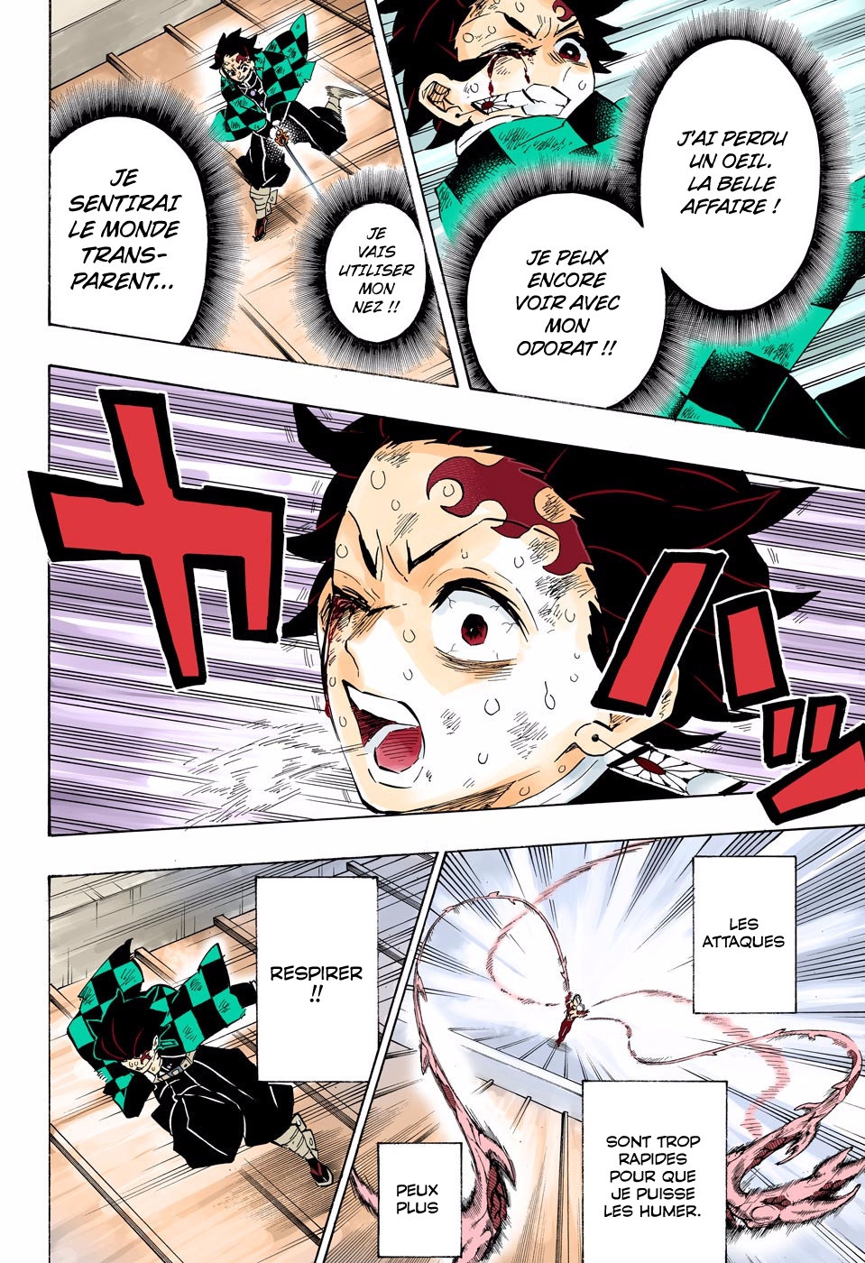 Read Kimetsu No Yaiba FR Manga Online