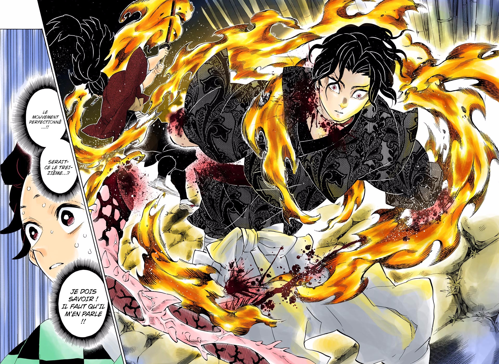 Read Kimetsu No Yaiba FR Manga Online