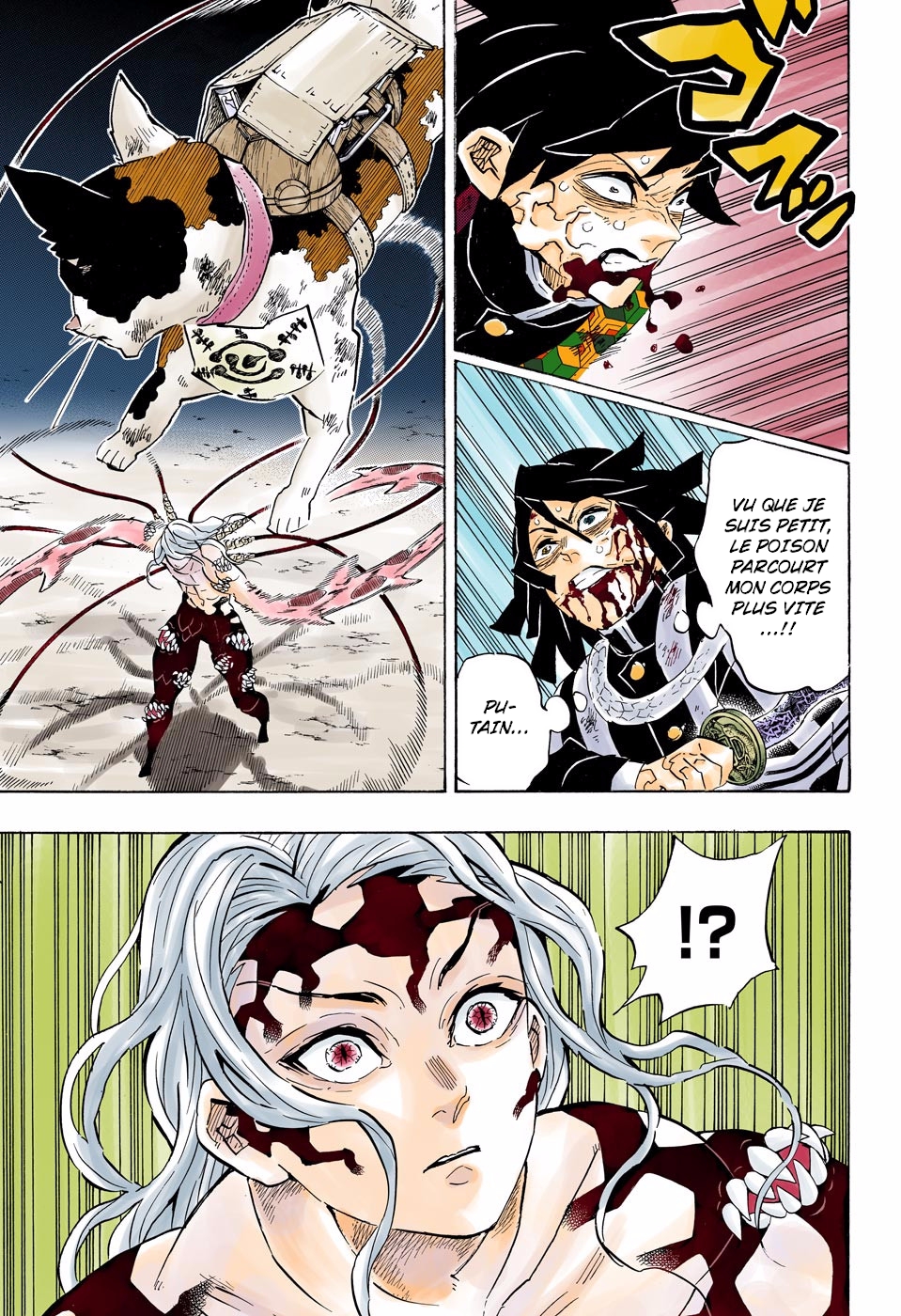 Read Kimetsu No Yaiba FR Manga Online