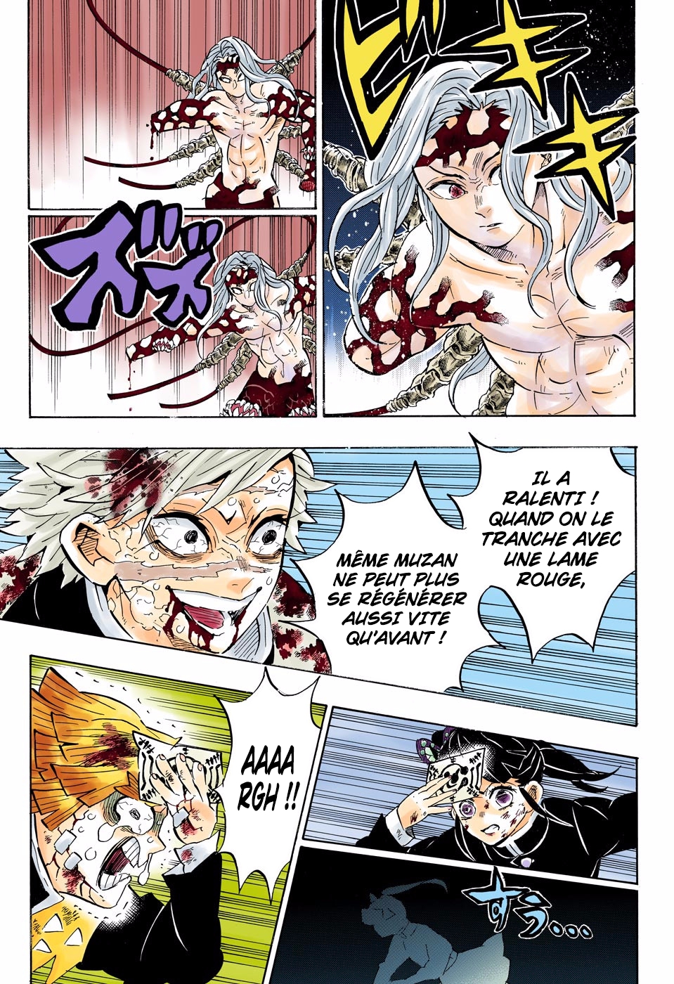 Read Kimetsu No Yaiba FR Manga Online