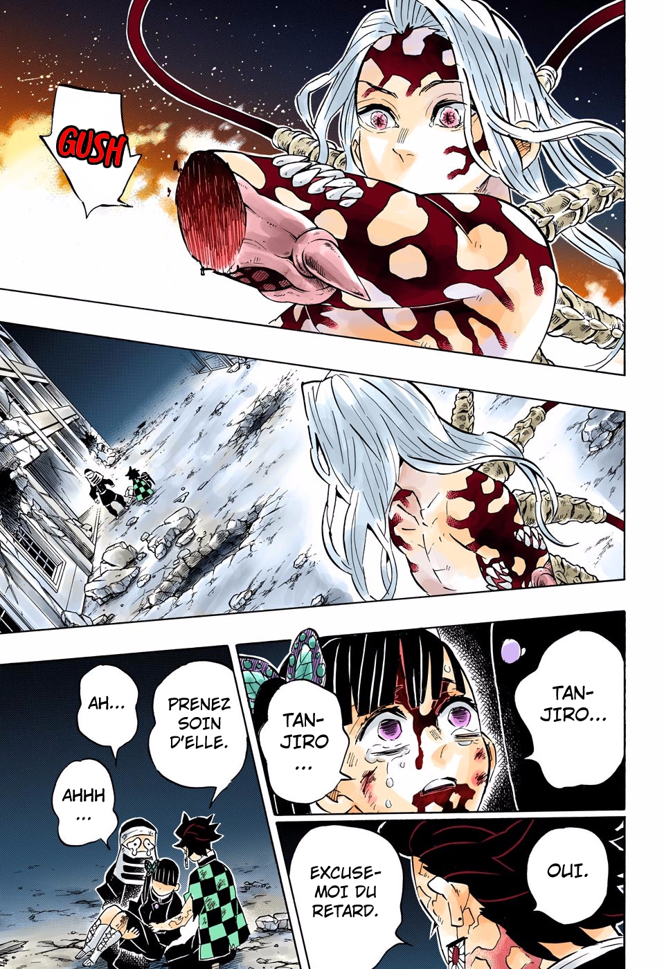 Read Kimetsu No Yaiba FR Manga Online