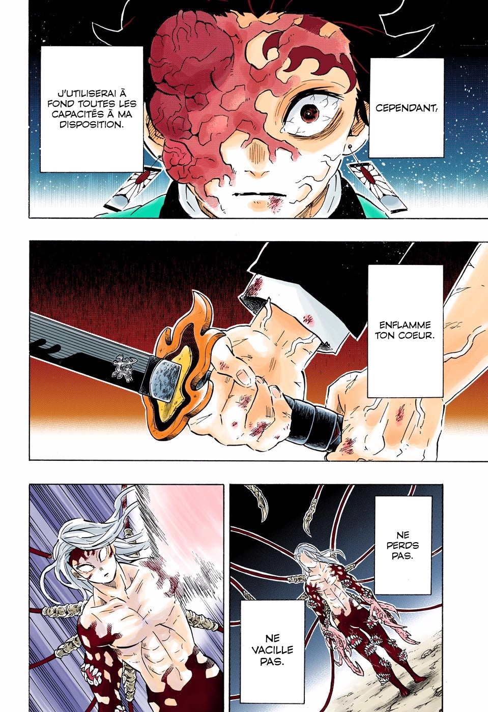 Read Kimetsu No Yaiba FR Manga Online