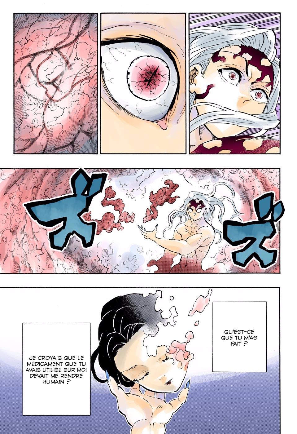 Read Kimetsu No Yaiba FR Manga Online