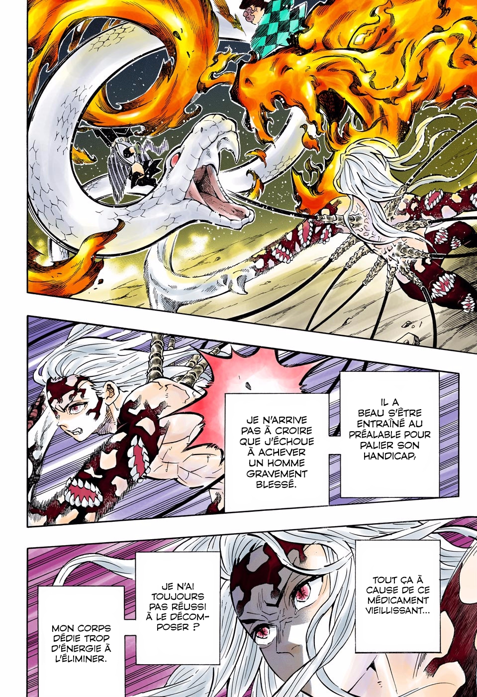 Read Kimetsu No Yaiba FR Manga Online