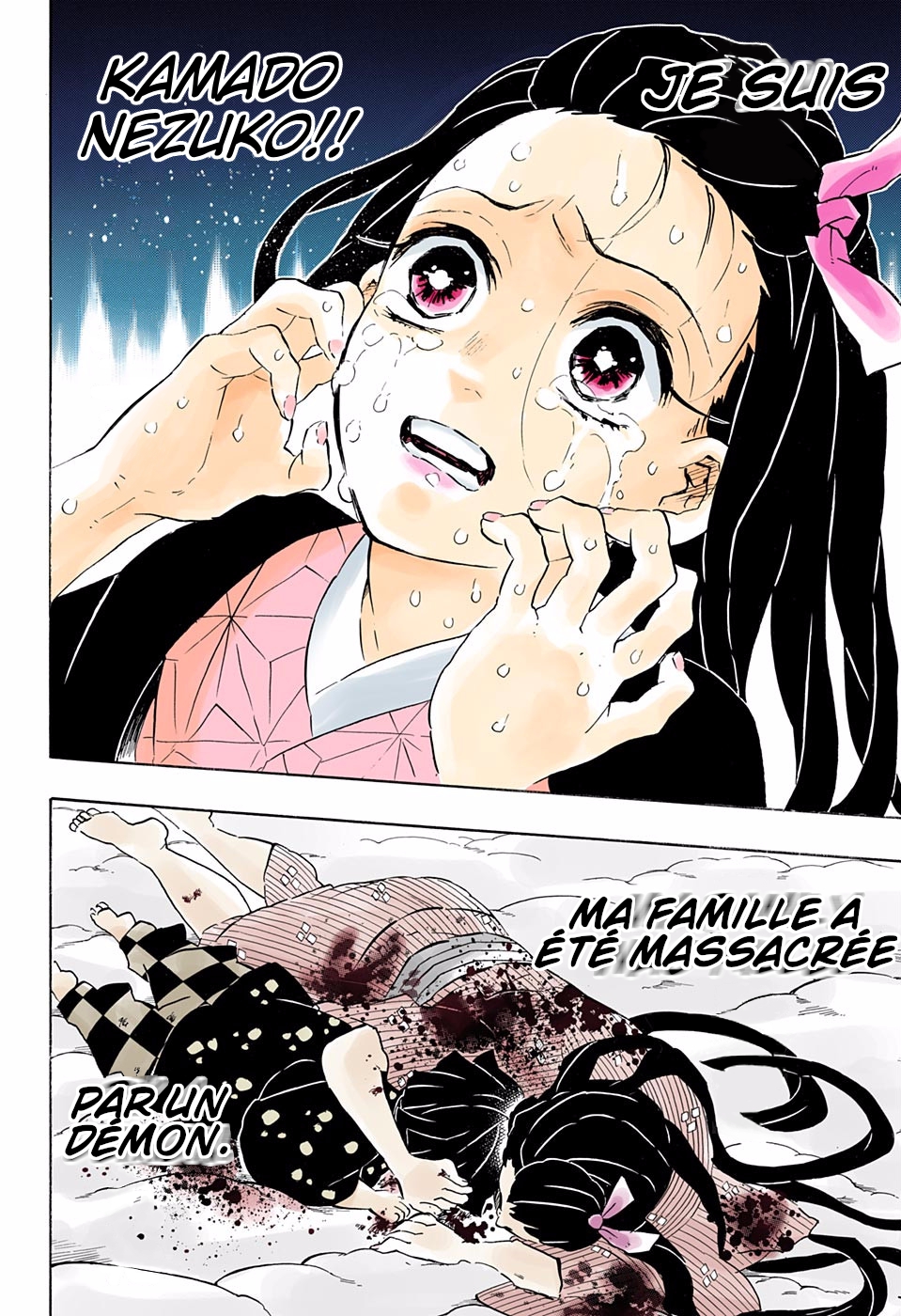 Read Kimetsu No Yaiba FR Manga Online