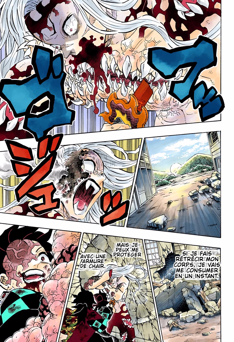 Read Kimetsu No Yaiba FR Manga Online