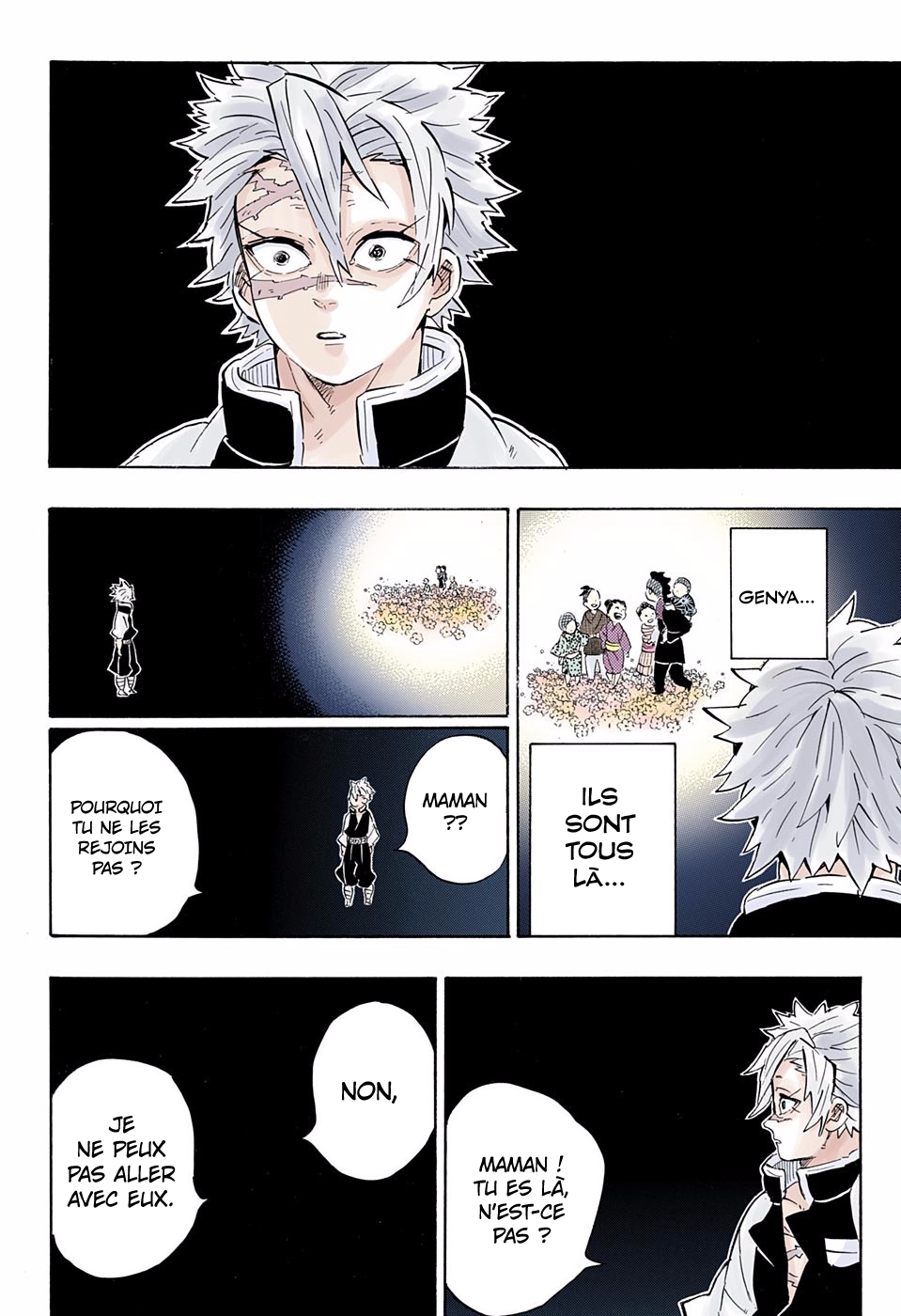 Read Kimetsu No Yaiba FR Manga Online