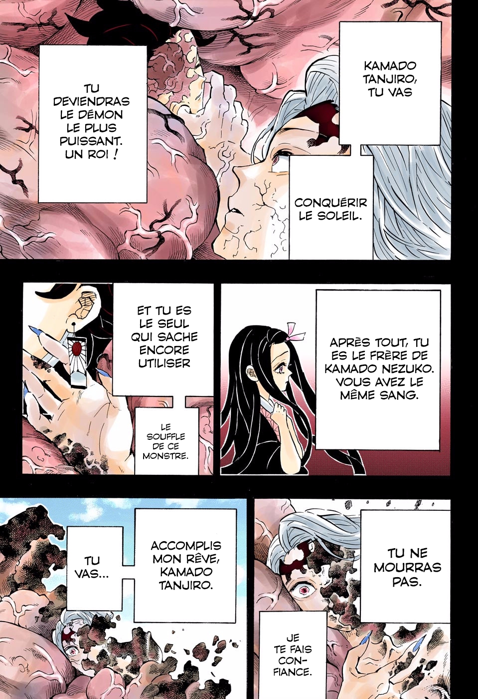 Read Kimetsu No Yaiba FR Manga Online