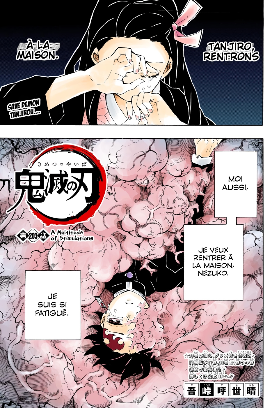 Read Kimetsu No Yaiba FR Manga Online