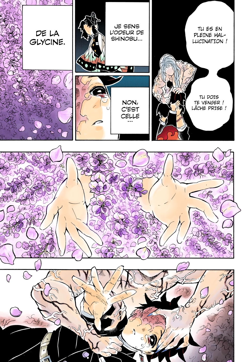 Read Kimetsu No Yaiba FR Manga Online