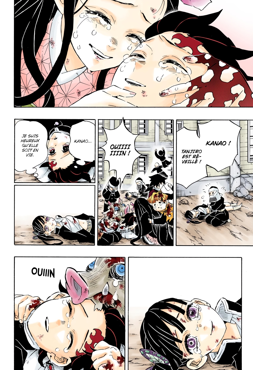 Read Kimetsu No Yaiba FR Manga Online