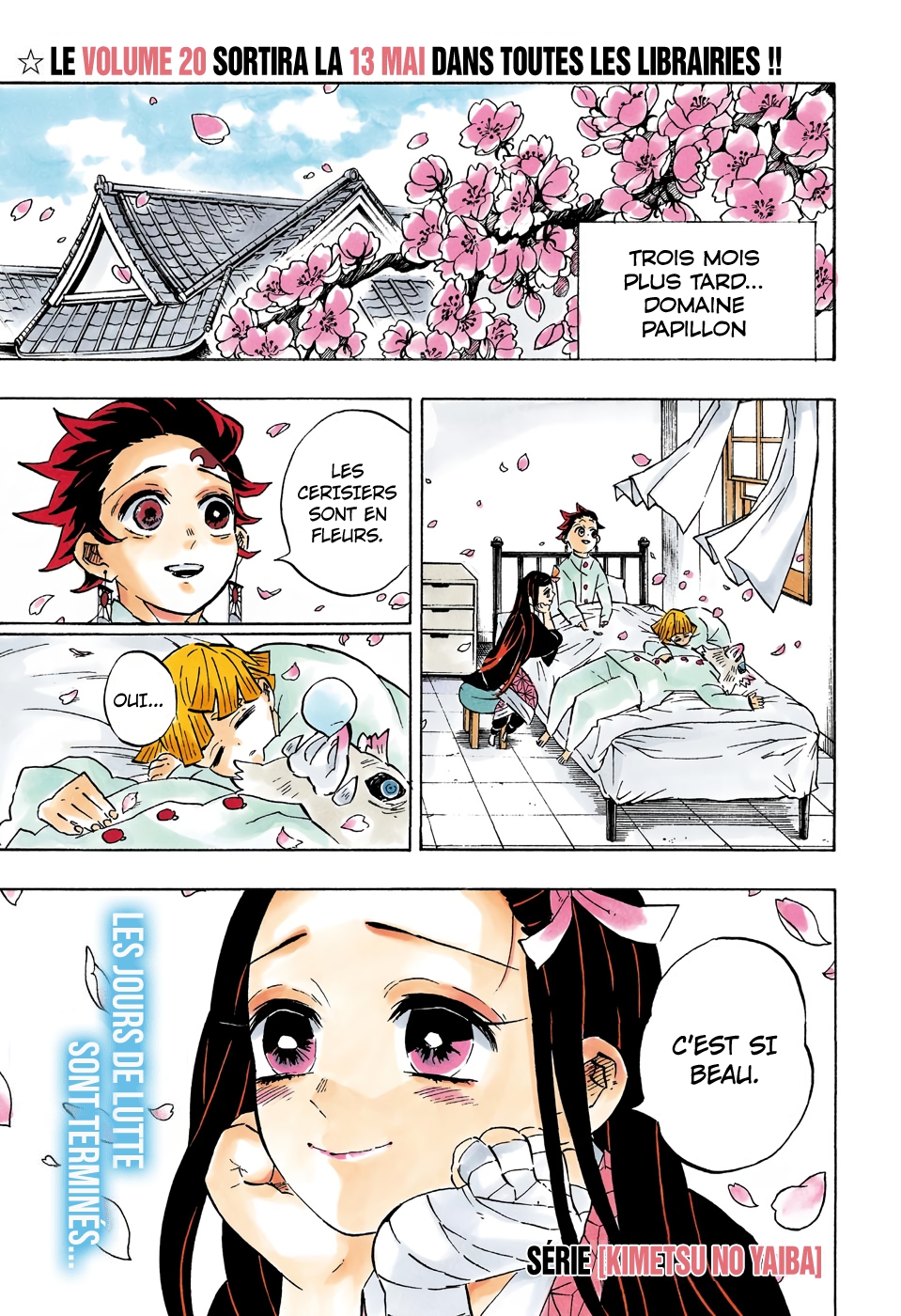Read Kimetsu No Yaiba FR Manga Online