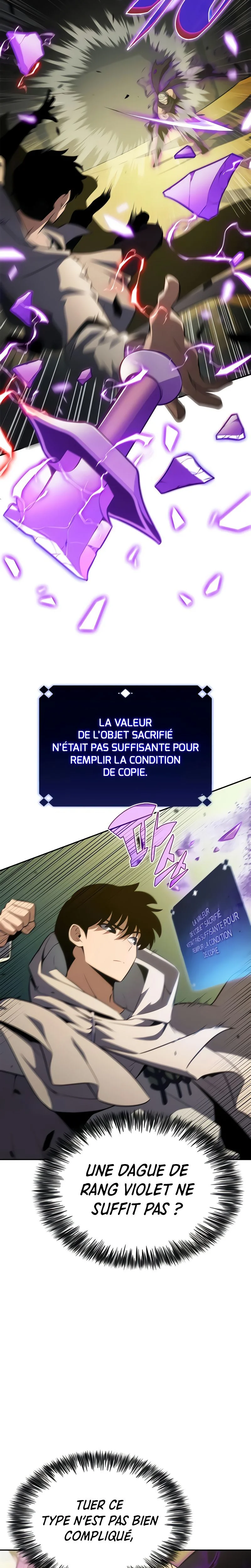 Read Solo Max-Level Newbie FR Manga Online