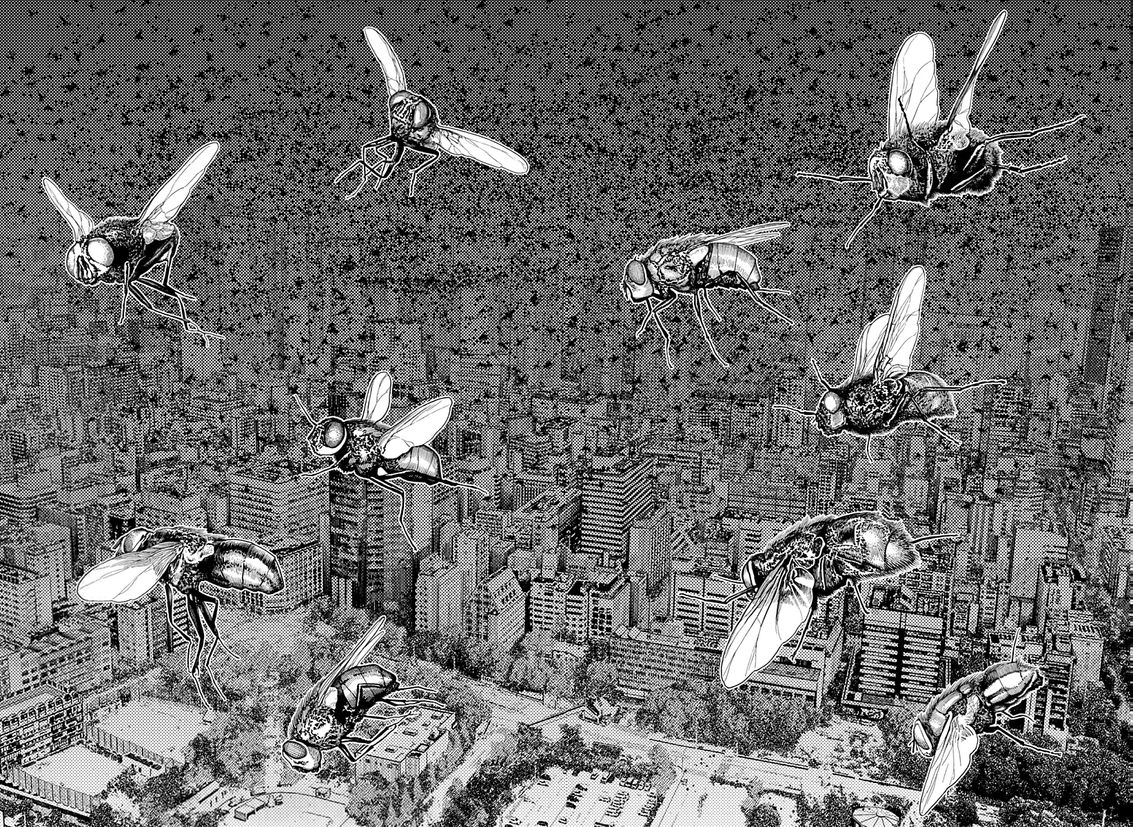 Read Dandadan IT Manga Online